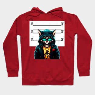 Usual Suspect Gangster Cat Hoodie